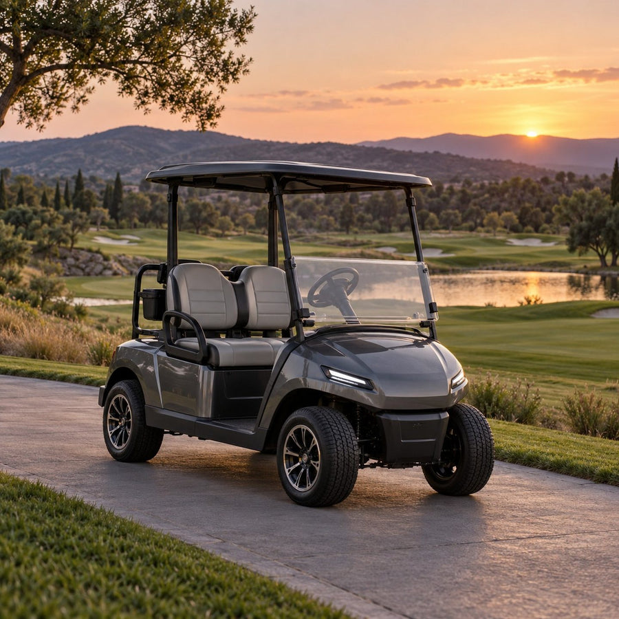 Voiturette de golf électrique 2 places au crépuscule