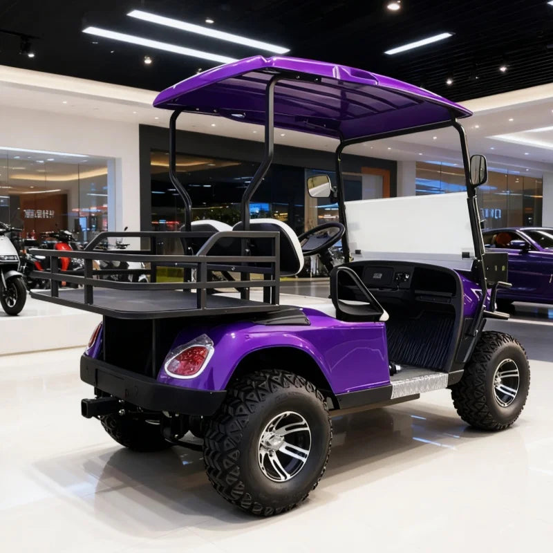 Voiturette de golf électrique de 2 à 10 places avec siège inclinable