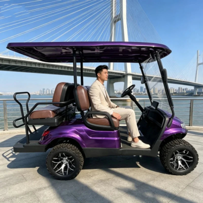 Voiturette de golf électrique – vue de profil avec conducteur et banquettes marron