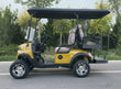 Voiturette de golf électrique dorée de luxe 2, 4, 6 ou 8 places