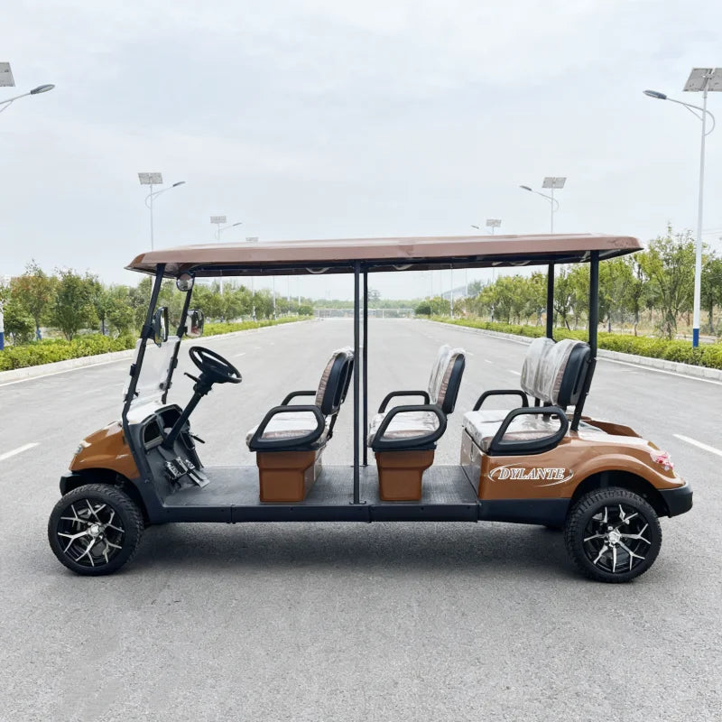 Voiturette de golf électrique 2, 4, 6 places moteur AC 4 kW