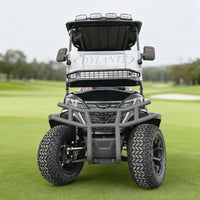 Voiturette de golf électrique 2, 4 ou 6 places tout-terrain 48 V