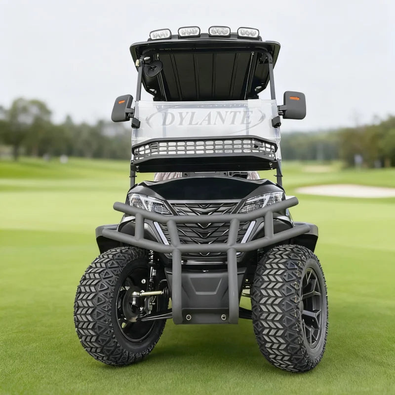 Voiturette de golf électrique 2, 4 ou 6 places tout-terrain 48 V