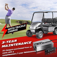 Chargeur plomb 48 V 15 A – golfeur, voiturette et chargeur argenté avec charge d'entretien