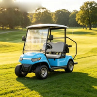 Voiturette de golf 2 places – carrosserie bleu clair et toit blanc