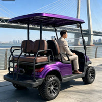 Voiturette de golf électrique – vue arrière avec le siège arrière et sa barre de maintien