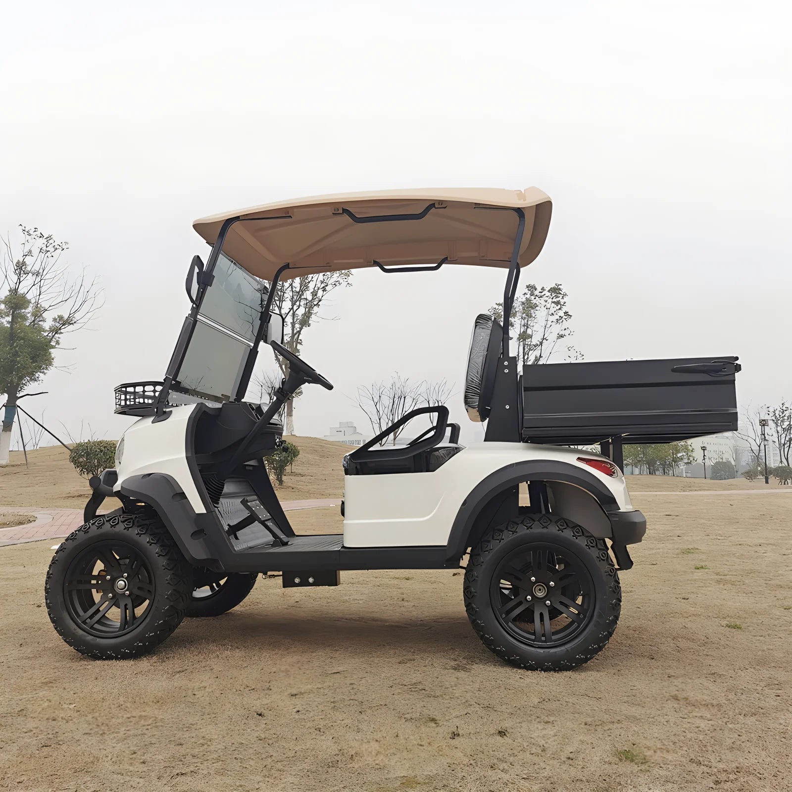 Voiturette de golf électrique de luxe robuste à grandes roues de 2 à 8 places personnalisable