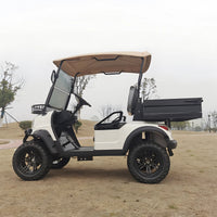 Voiturette de golf électrique de luxe robuste à grandes roues de 2 à 8 places personnalisable