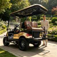 Voiturette de golf électrique – vue arrière avec porte-sacs de golf