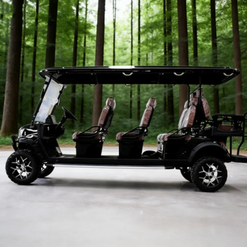Voiturette de golf électrique de chasse noire 6 places – vue de profil